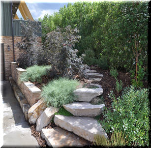 Stone and Step Garden